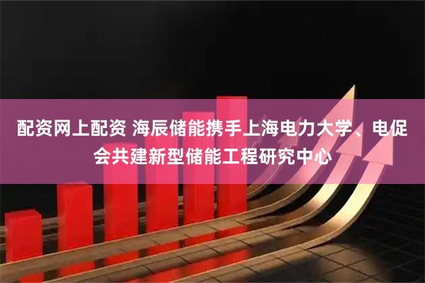 配资网上配资 海辰储能携手上海电力大学、电促会共建新型储能工程研究中心